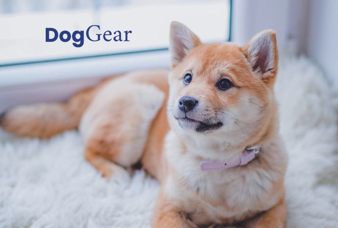DogGear project preview